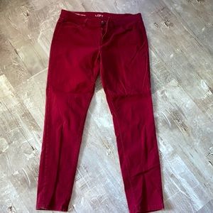Ann Taylor LOFT size 30/10 skinny